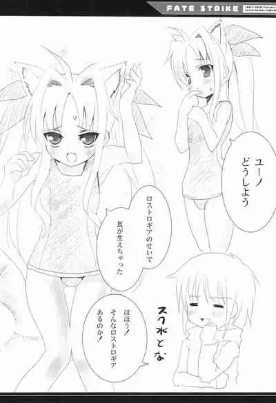 FATE STRIKE