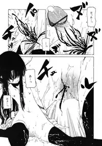 COMIC RiN 2010-11