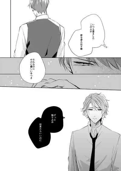 Unmei no Polaris