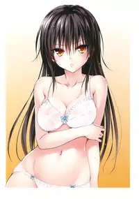 [Yabuki Kentaro] To Love-Ru -Trouble- Darkness Artbook Harem Gold