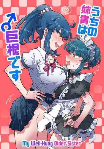 Uchi no Aneki wa Kyokon desu | My Well-Hung Older Sister 我的巨根姐姐