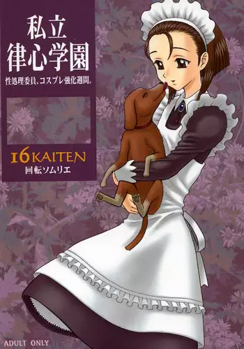 22 Kaiten Shishunki Play