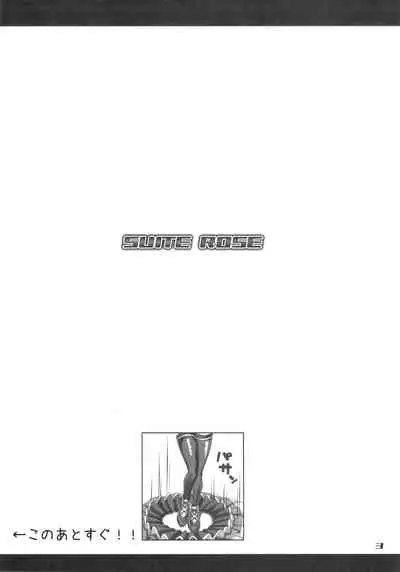 SUITE ROSE