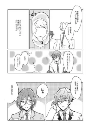 Oazuke First Bite