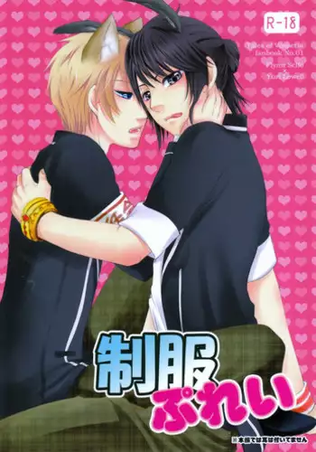 調教師と初恋の戦乙女