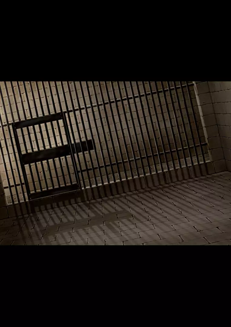 Kyonyuu Kyojiri Josei-sama no Muchi