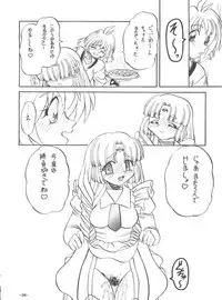 (C54) [Himawari Endan (Chunrouzan, Gakimagari)] BTB-23 DOUBLE INCOME (Lost Universe)