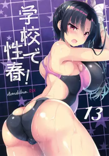 (C92) [OTOMEKIBUN (Sansyoku Amido.)] Gakkou de Seishun! 13