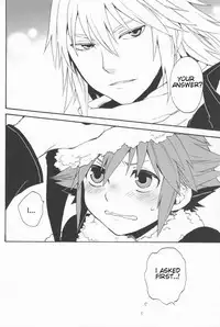 (C77) [Ssize (Sam)] Shinyuu wa Santa Claus (Kingdom Hearts) [English]