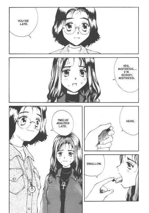 Sekkusufiresu 04