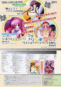 COMIC RiN 2010-11