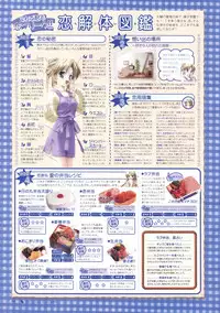 Canvas Sepia iro no motif Visual Fan Book