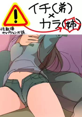 タマヒメのおしごと