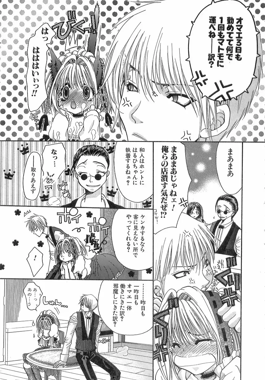 Kinkan Imouto Moe