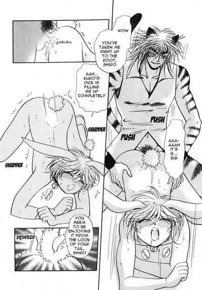 [Anthology] Puchi D VOL. 4 Kemonomimi [English] [DokiDoki]