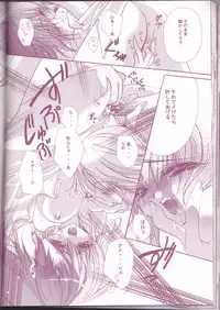 (C66) [LOLIPOP (Takewakamaru)] Tanemaki Gakuen Seitokai Shikkoubu (Gundam SEED)