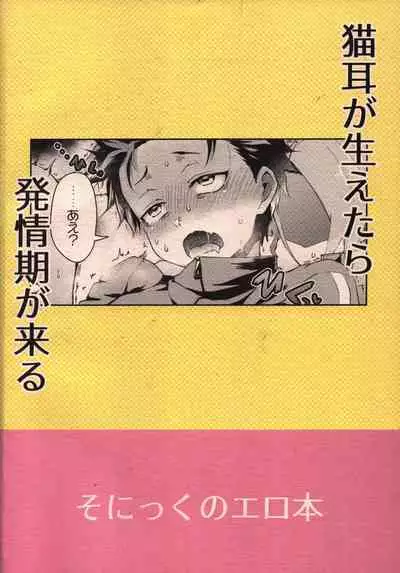 Nyan-fluenza ni Ki o Tsukete!