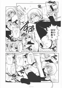 [R-WORKS] SLOE BERRY II (Hayate no Gotoku!)