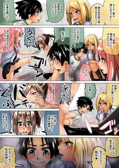 Joshi Kōsei ga Danshi o Sei Dorei Toshite Kau