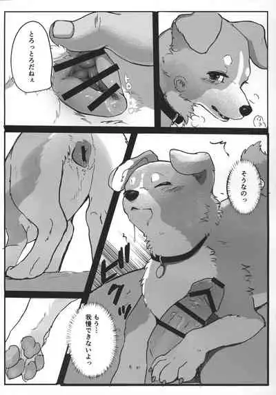 (Kemoket 11) [Kon Juuichibai (Momou)] Wonderful! 1