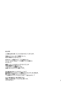 (C90) [Satellites (Satetsu)] Second marriage (Touhou Project)