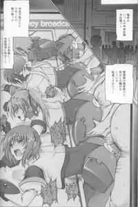 (C79) [Cyclone (Izumi, Reizei)] 767B (Mahou Shoujo Lyrical Nanoha)