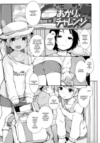 Akari Challenge