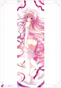 [Rabbit] habit net chronicles 2nd volume