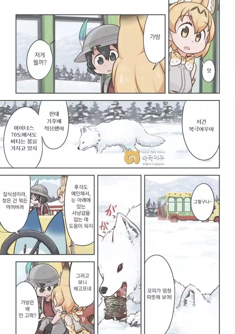 Takibi | 모닥불