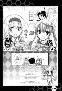 [CHAGASHI SAIBAN (Yamabuki Mook)] China's Reality (Infinite Stratos) [English] [life4Kaoru]