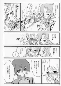 (C64) [Keumaya (Keuma)] Tane Bon (Gundam Seed)