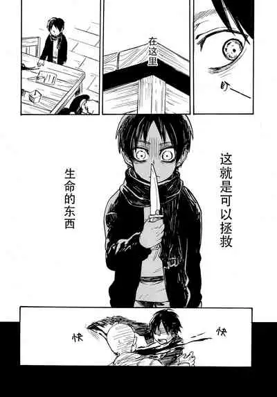 Shonen Knife | 少年的刀