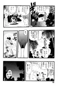 Flamingo R Vol.04