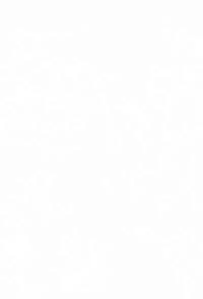 Dreamy Kingdom of Creyons