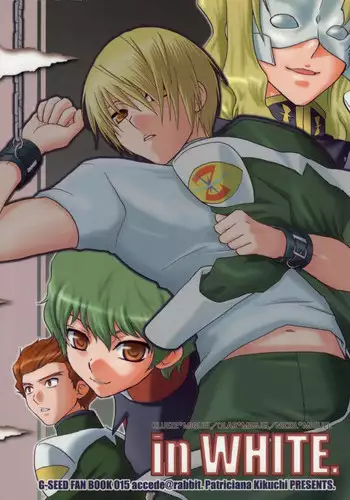 GUNDAM SEED CG SET