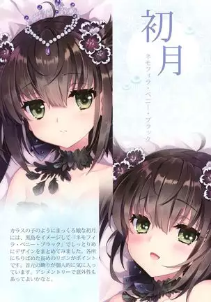 FLOWER-OMUNIBUS-