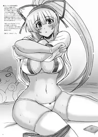 [C.R's NEST] DOM TOYBOX -Another side (Samurai Spirits)