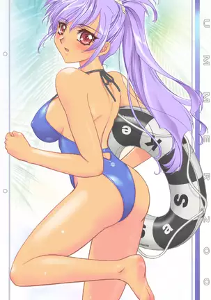 R1 Image Collection