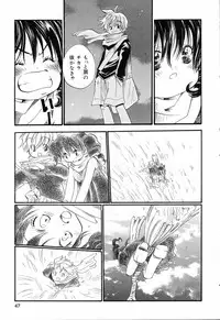[Anthology] Pure Petit Vol.19