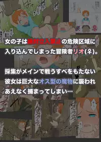 [Nisemono] Boyish Boukensha VS Onanoko Tachiiri Kinshi Area