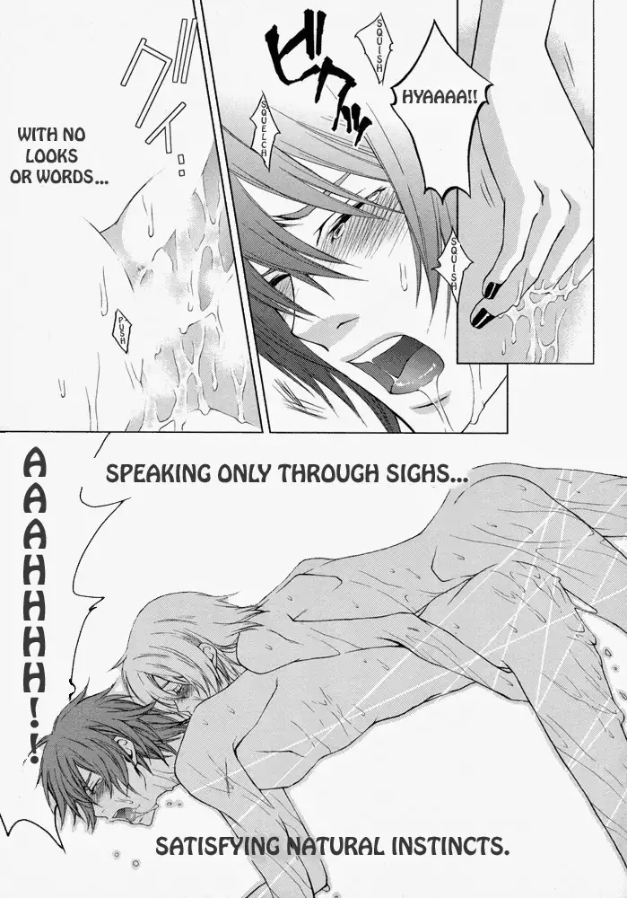 Rainy Rose/ Voiceless Voice – Togainu no Chi dj