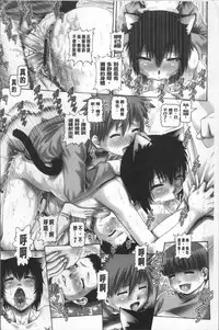 [TYPE.90] Matatabi Panic [Chinese]