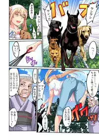 Gaticomi Vol.47