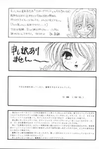 (C57) [Team Plus-Y] Plus-Y 25 Kemomi mitsu kusu