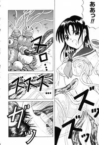 [Anthology] Pure Petit Vol.19