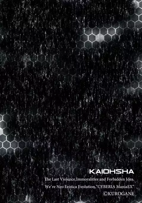 Cyberia Maniacs Hitozuma Juurin Collection Vol.3