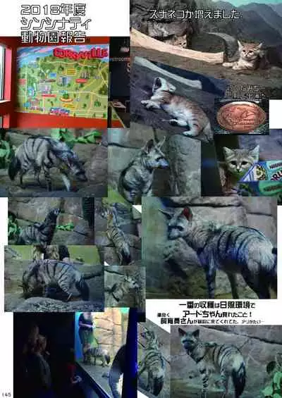 may Kemono Friends Thre Goudoushi 2