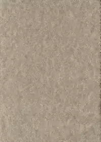 (MOON PHASE) [Bakeda Daigaku (Bakedanuki)] Nekotama (Tsukihime)