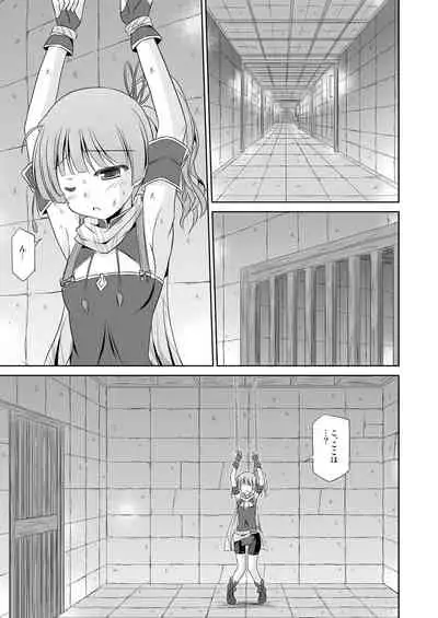 Koyuzu no Chousa Shippai Houkokusho